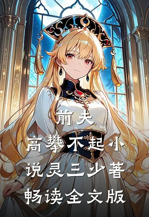 前夫,高攀不起 小说灵三少著畅读全文版