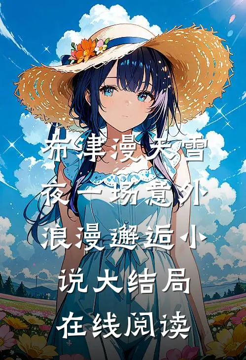 布津漫天雪夜一场意外浪漫邂逅小说大结局在线阅读