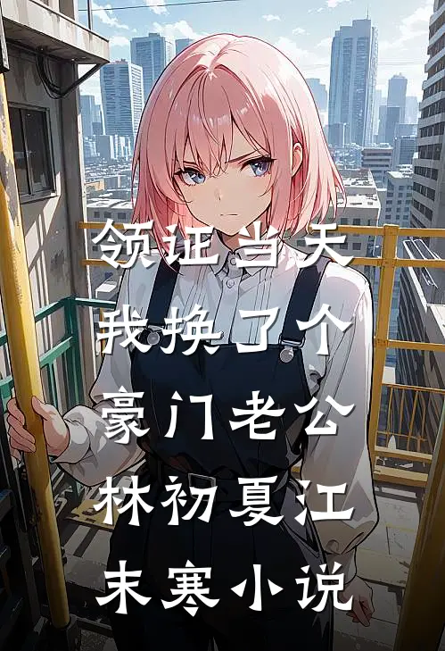 领证当天，我换了个豪门老公林初夏江末寒小说