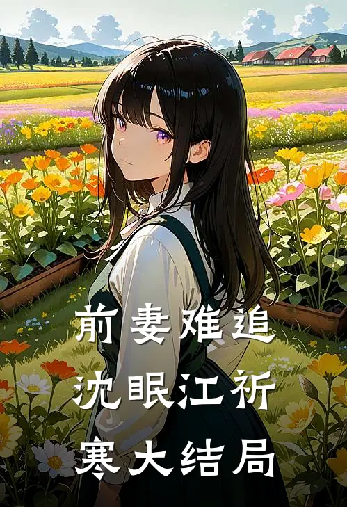 前妻难追沈眠江祈寒大结局