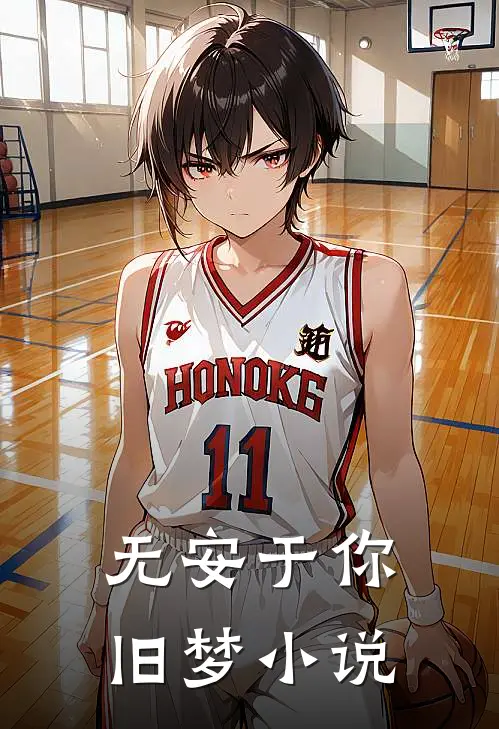 无安于你旧梦小说