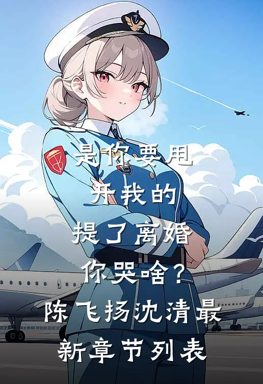 是你要甩开我的，提了离婚你哭啥？陈飞扬沈清最新章节列表