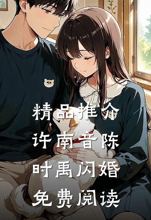 精品推介许南音陈时禹闪婚免费阅读