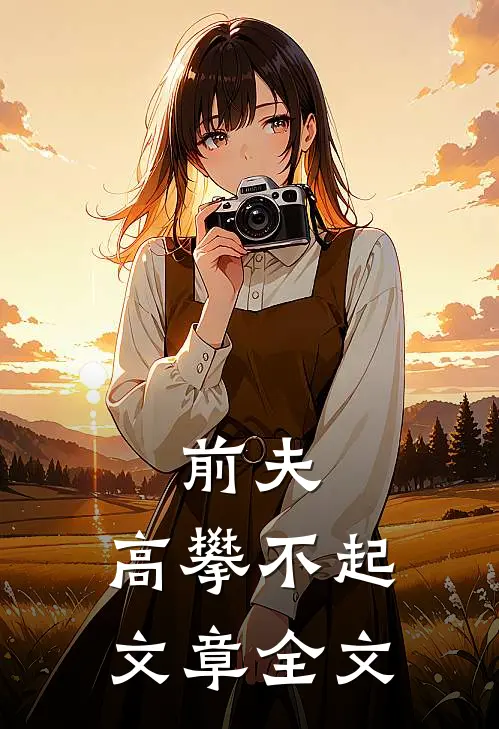 前夫，高攀不起文章全文