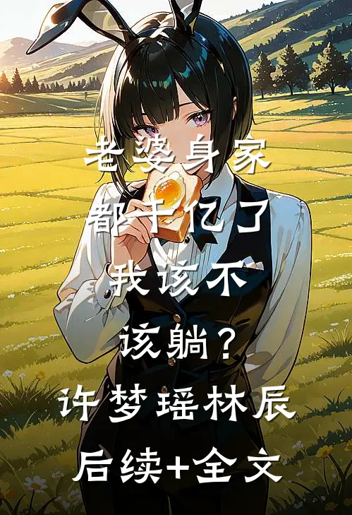 老婆身家都千亿了，我该不该躺？许梦瑶林辰后续+全文