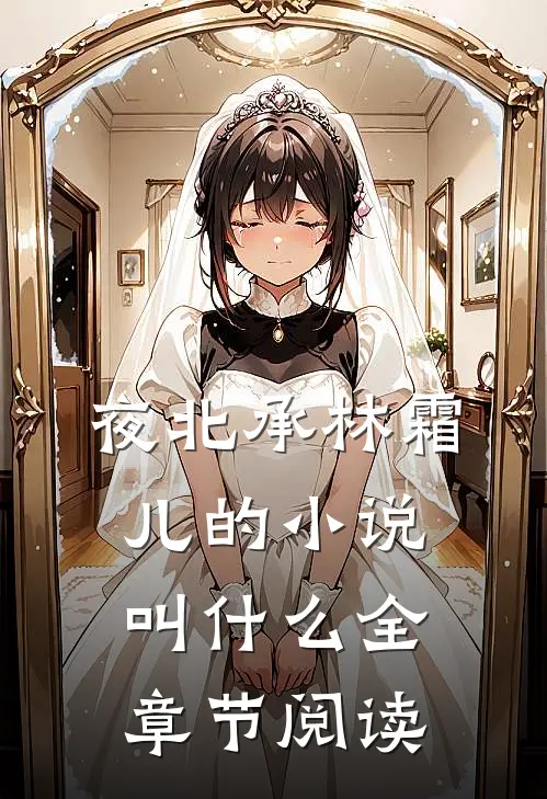 夜北承林霜儿的小说叫什么全章节阅读