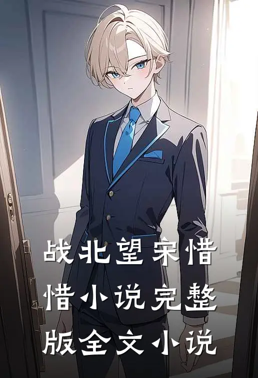 战北望宋惜惜小说完整版全文小说