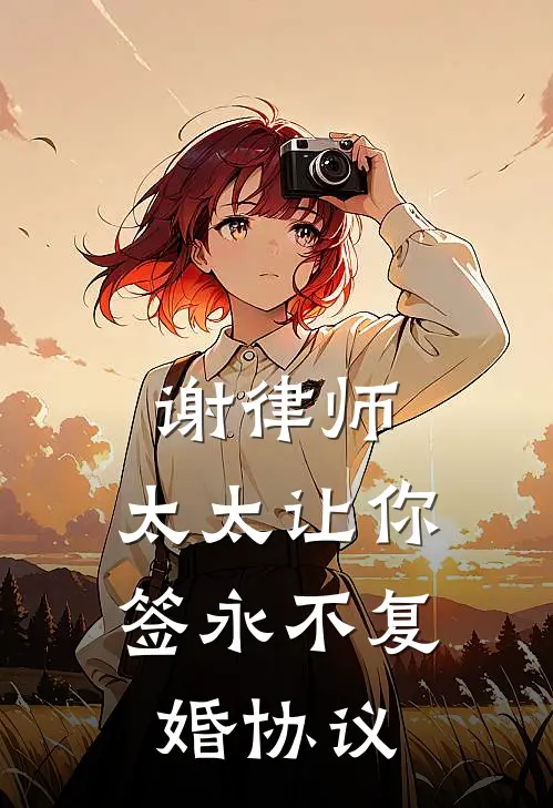 谢律师,太太让你签永不复婚协议大结