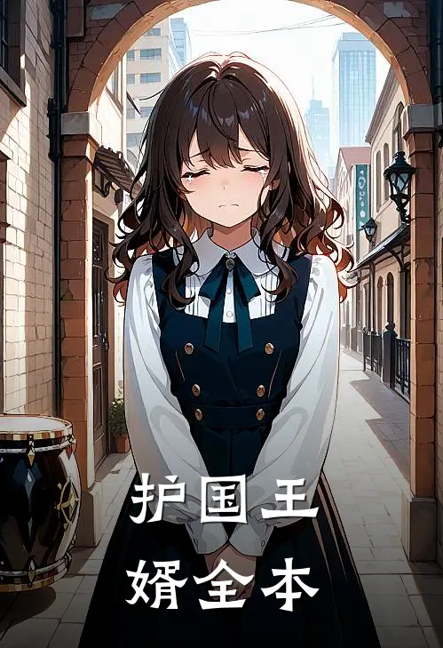 护国王婿全本