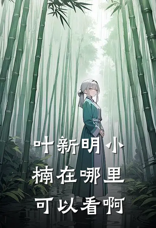叶新明小楠在哪里可以看啊
