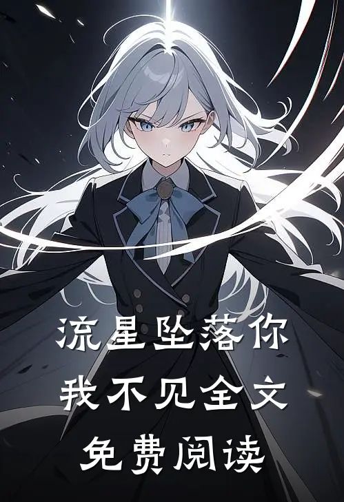 流星坠落你我不见全文免费阅读