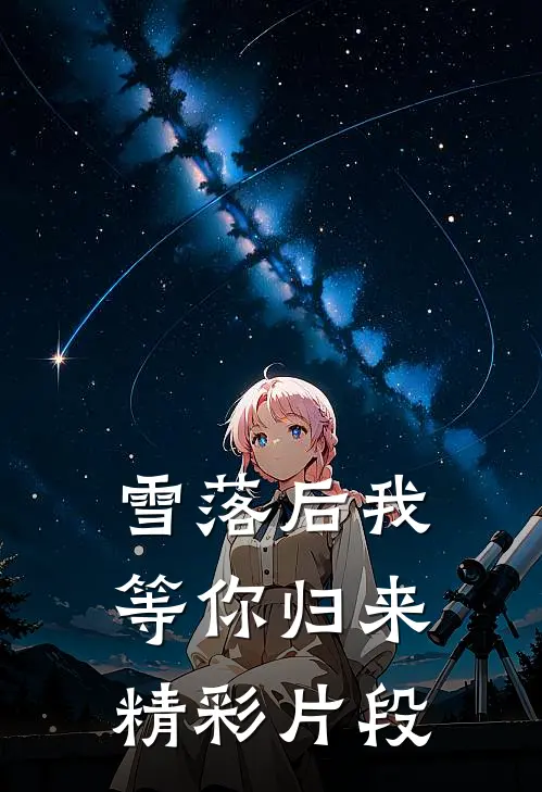 雪落后我等你归来精彩片段