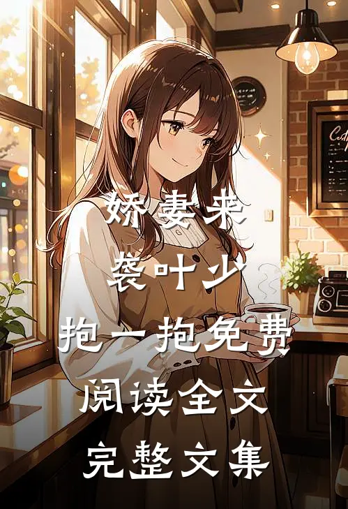 娇妻来袭叶少,抱一抱免费阅读全文完整文集
