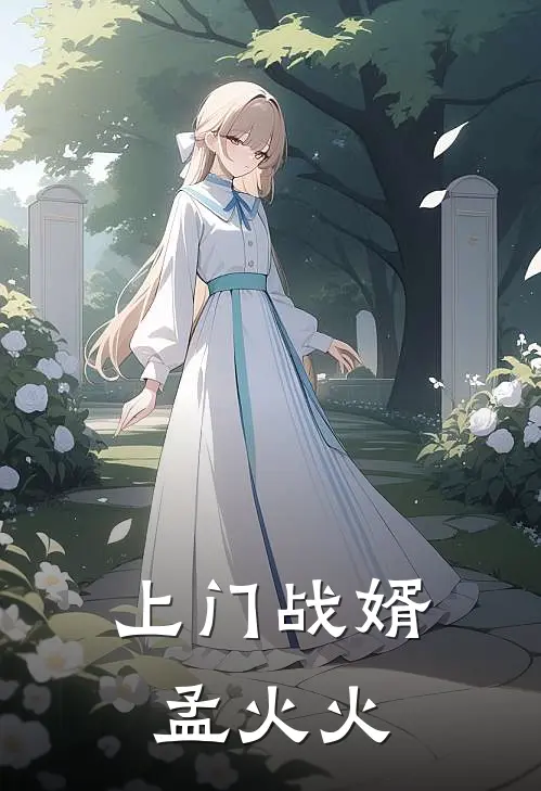 上门战婿 孟火火