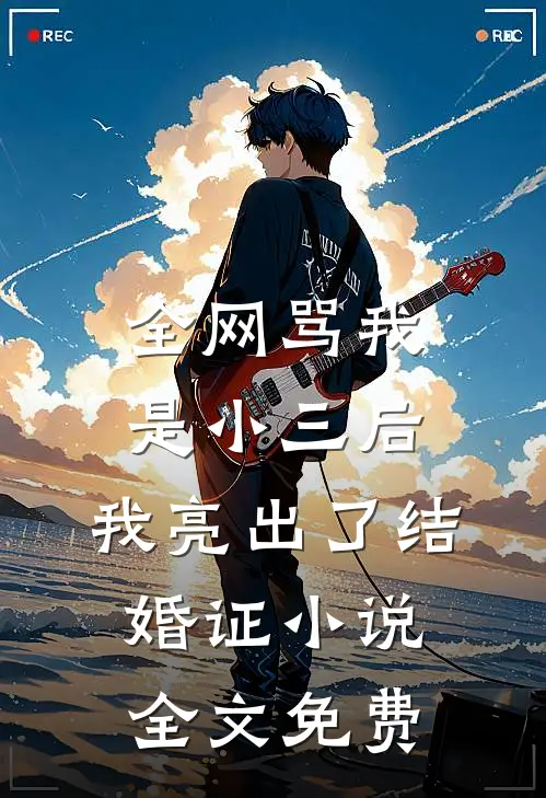 全网骂我是小三后，我亮出了结婚证小说全文免费