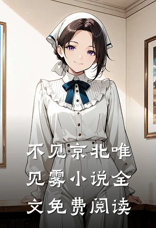 不见京北唯见雾小说全文免费阅读