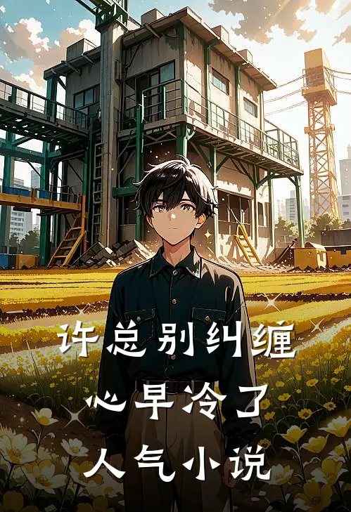许总别纠缠，心早冷了人气小说