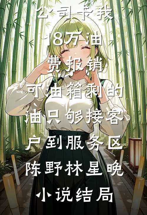 公司卡我18万油费报销，可油箱剩的油只够接客户到服务区陈野林星晚小说结局