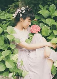 昨日看花花灼灼小说