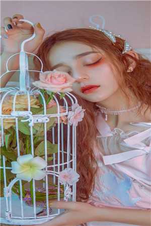 她也曾踏雪而来免费