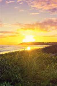 潮起汐落无归路精彩