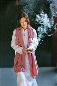 智者不入爱河已完结版