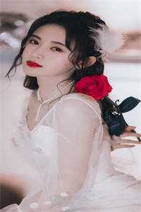 此意寄昭昭结局+番外