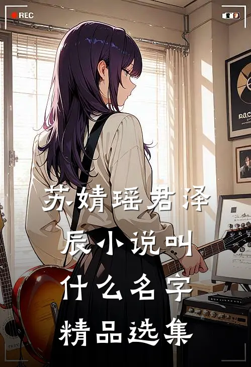 苏婧瑶君泽辰小说叫什么名字精品选集