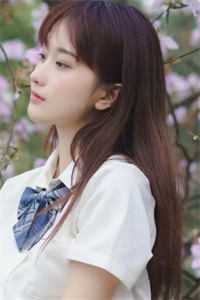 曾诺惊鸿共白头免费