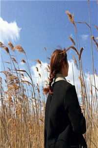 摊牌了！我就是最强大佬怎么了完整文集阅读