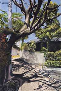 寡嫂守孝三年期满，夫君和我提出兼祧两房小说免费阅读全文