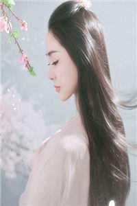 随星，随月，随清风前文+番外