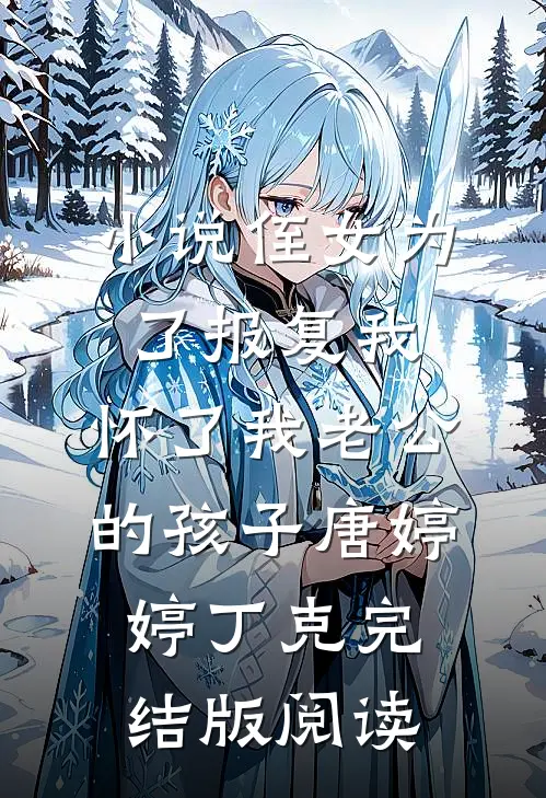 小说侄女为了报复我，怀了我老公的孩子唐婷婷丁克完结版阅读