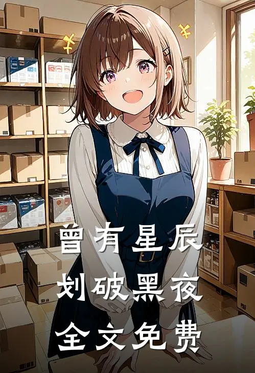 曾有星辰划破黑夜全文免费