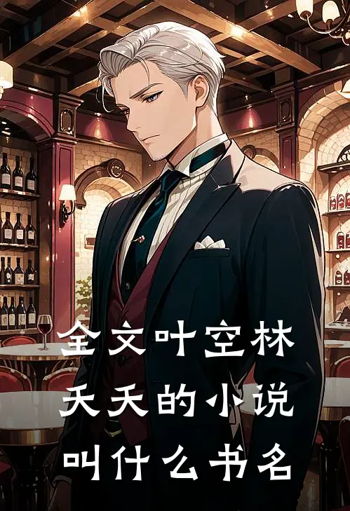 全文叶空林夭夭的小说叫什么书名