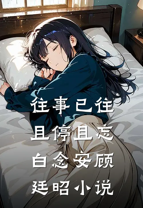 往事已往，且停且忘白念安顾廷昭小说