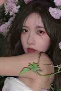 冬楼香入碧纱笼精选