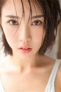 夏末才觉春已迟小说免费阅读全文