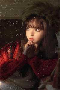 风满扬州花千树全章节