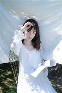 北风起时问归期免费阅读全文