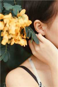 装穷的豪门父母，背着我在外富养假千金全球完整文集