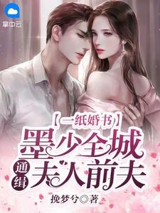 掉包避孕药，心机傅总要奉子复婚无删版