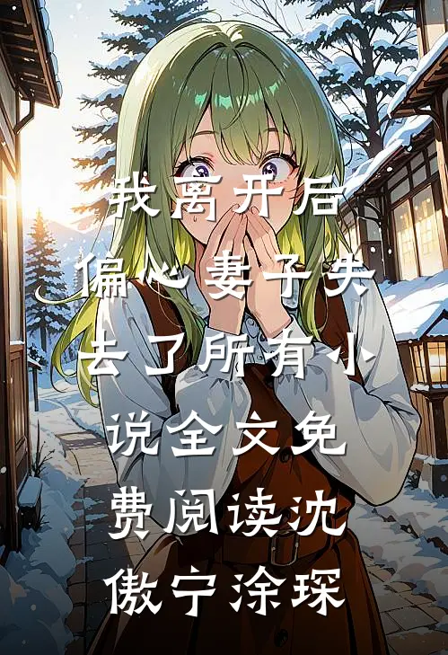我离开后，偏心妻子失去了所有小说全文免费阅读沈傲宁涂琛