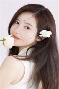 小雨音迹高口碑