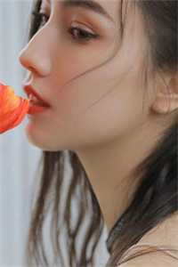 一席幽梦扰清欢前文+