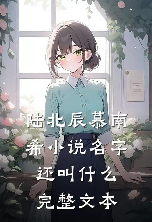 陆北辰慕南希小说名字还叫什么完整文本