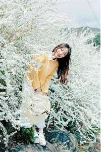 半颗丹心喂霜骨，一念成皇小说免费