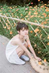 晚风与你皆温柔爽文