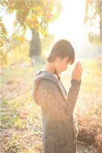 白露枝头复往春小说在线阅读免费