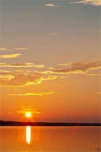 给不出去的彩礼我儿子小说